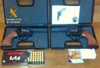 armas intervenidas