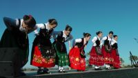 bailes regionales