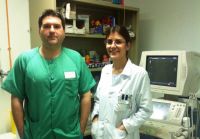 comite tumores