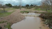 badén del Zújar en Villanueva, 13 febrero 2014
