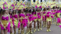 carnaval santa amalia