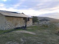 doña blanca
