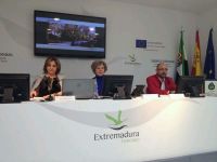 fitur