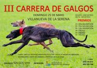 competición de galgos