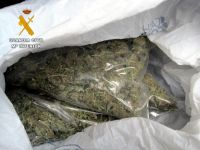 marihuana intervenida