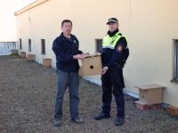 caja nido para cernícalo