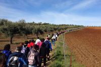 marcha senderista Zalamea