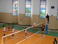 voleibol