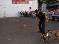 perros policia