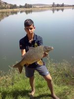 alvaropesca