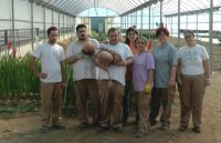 el boniato y sus cultivadores