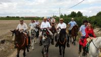 caballos