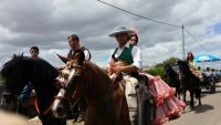 caballos