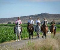caballos