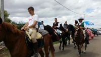 caballos