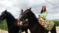 caballos