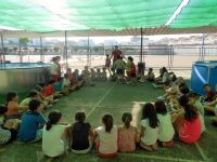 campamento de verano