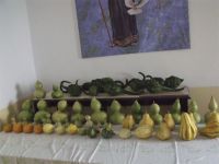 concursocalabaza2