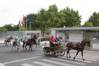 diversiti ruta ecuestre