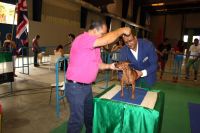 concurso canino de Divérsiti