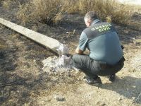 incendiorena