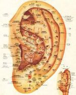 oreja
