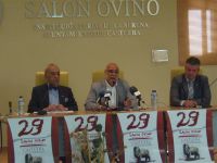 salonovino