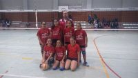voleyad