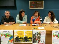 voluntariadocampaa