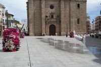 jardinera