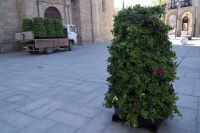 plantasplaza_vva
