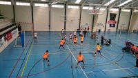 voleiboldb