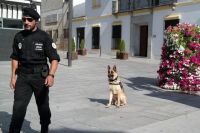 boyrapolicia