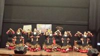 flamenco encuentro