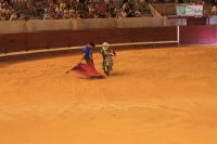 freestyle10