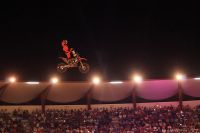 freestyle33