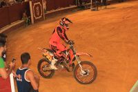 freestyle35
