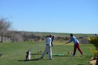 golfvva2