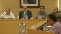 pleno29m