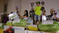 Concurso de sandías de Villanueva de la Serena