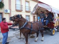 cabalmede15