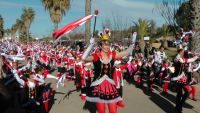 carnaval Santa Amalia