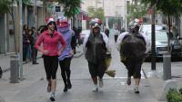 carrera de Navidad