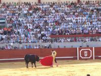 ponce