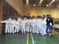 karate lares