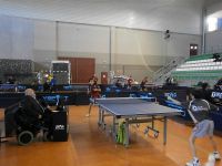 tenis de mesa