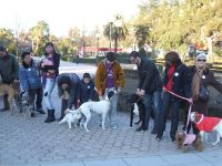 paseoc1