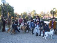 paseoc2