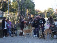 paseoc3