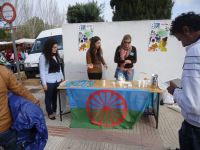 dia del pueblo gitano